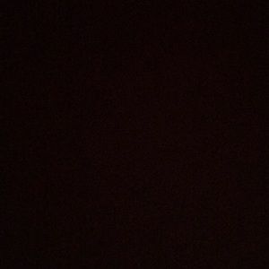 Meet your Posher, Delaney